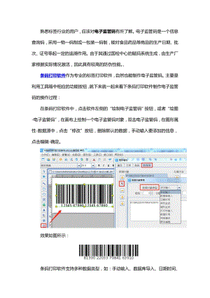 条码打印软件如何制作电子监管码.docx